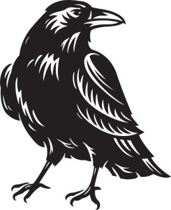 Icon Black Raven Icon
